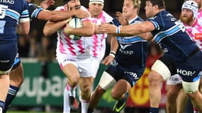 Stade Français-Montpellier