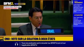 "Des membres de cette assemblée choisissent de rester aveugle": Israël fustige la "déclaration de New York"