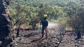 Un incendie se déclare dans un massif forestier à Roquebrune-sur-Argens le 3 juin 2024.