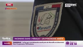 Incendies dans l'Hérault: un pyromane arrêté
