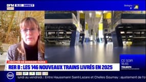 Travaux du RER B: "la priorité absolue" pour la présidente du Comité des usagers du RER B