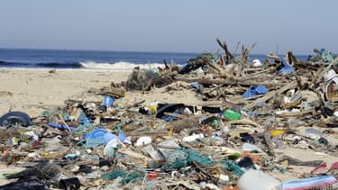 Des déchets rejetés par la mer sur la plage de Mimizan, dans le sud-ouest de la France, en mars 2014.