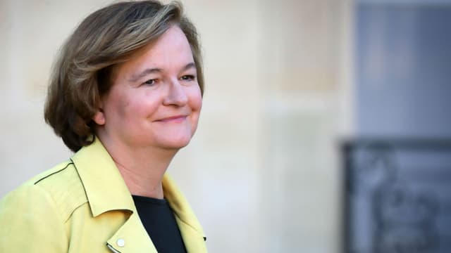 Nathalie Loiseau, ex-ministre auprès du ministre de l'Europe et des Affaires étrangères à l'Elysée le 14 novembre 2018. - LUDOVIC MARIN / AFP
