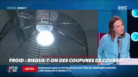 Dupin Quotidien : Froid, risque-t-on des coupures de courant  ? - 09/02