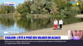 Alsace: des records de températures battus en septembre