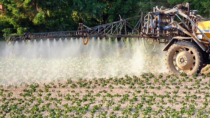 Des pesticides ont été retrouvés dans les poussières de maisons proches de cultures - Mardi 1er Mars 2016