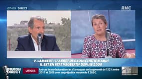 "Cette mort en direct, c'est une situation épouvantable": la demi-soeur de Vincent Lambert témoigne