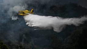 Incendies: quels sont les avions de la flotte de l'UE qui ont été envoyés en France?