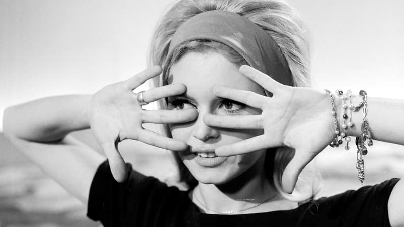 Bob Dylan, Elton John... Ces artistes qui ont chanté Brigitte Bardot