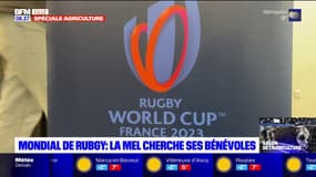 Coupe du monde de rugby: la Métropole européenne de Lille cherche ses bénévoles