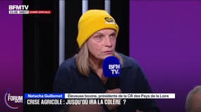 FORUM BFM - Colère agricole: "On a eu l'impression d'être des délinquants", affirme Natacha Guillemet, éleveuse bovine