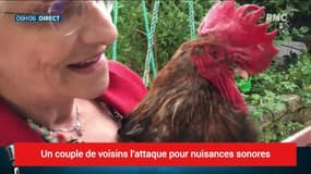 Le coq Maurice va-t-il se faire plumer par le tribunal pour avoir chanté?