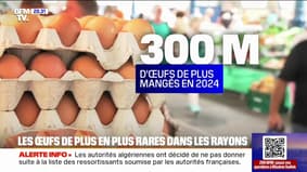 Pourquoi les œufs deviennent-ils de plus en plus rares sur les étagères?