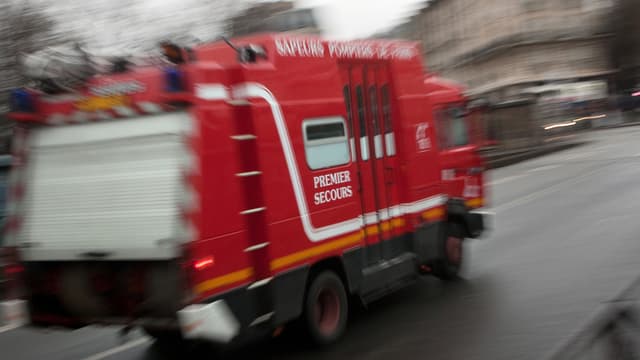 Les sapeurs-pompiers sont intervenus, mais ils n'ont pu le sauver.