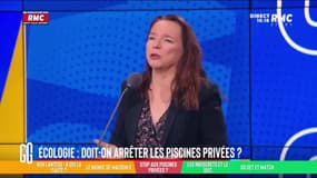 Ecologie : doit-on arrêter les piscines privées ? - 24/08