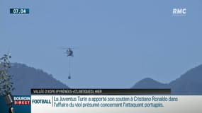 Lâcher d'une ourse dans les Pyrénées : "Nous ne sommes pas des criminels" se défend un éleveur de brebis 