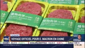 Chine: moisson de contrats pour Macron?
