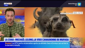 Michaël Lelong est la voix de personnages dans les films Disney