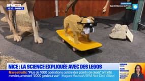 Nice: la science expliquée avec des Legos