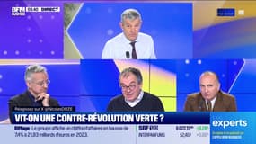 Les Experts : Vit-on une contre-révolution verte ? - 29/02