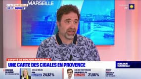 Provence: il lance une carte en ligne pour recenser les premiers chants des cigales