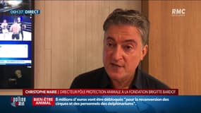 Chasse: la colère des défenseurs de la cause animale