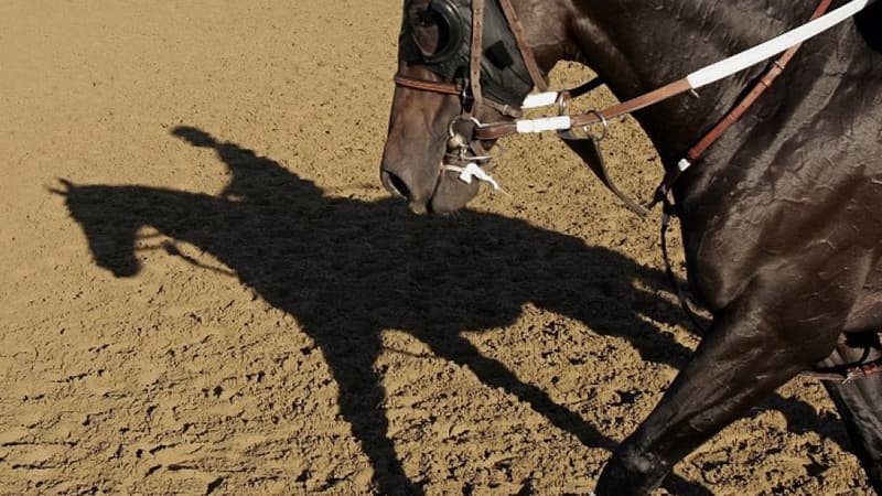 Un cavalier sur son cheval (Photo d'illustration) - JEFF HAYNES / AFP