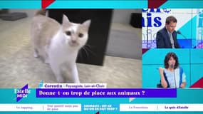 Donne-t-on trop de place aux animaux ? - 06/01