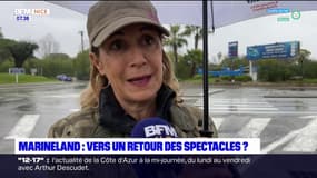 Antibes: vers un retour des spectacles d'orques au parc Marineland?