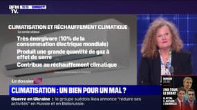 Canicule: "Pas de panique !" rassure Sylvie Brunel, géographe et spécialiste des questions de développement