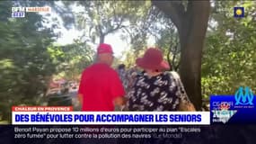 Marseille: des bénévoles organisent des rencontres pour les séniors isolés