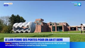 Villeneuve-d'Ascq: le musée du LaM ferme ses portes pour un an et demi
