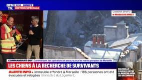 Immeuble effondré à Marseille: pour l'instant, les deux chiens engagés sur la zone sinistrée n'ont "pas marqué" la présence de personnes sous les décombres, affirme le commandant Guy