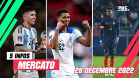 Fernandez, Bellingham, Badiashile… Les 5 infos mercato du 28 décembre 2022 (à la mi-journée)