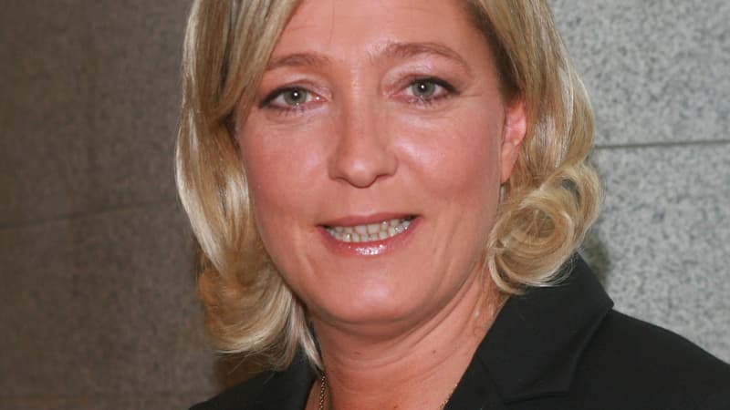Marine Le Pen, Vice-présidente du FN, conseillère régionale du Nord-Pas-de-Calais et conseillère municipale d'Hénin-Beaumont