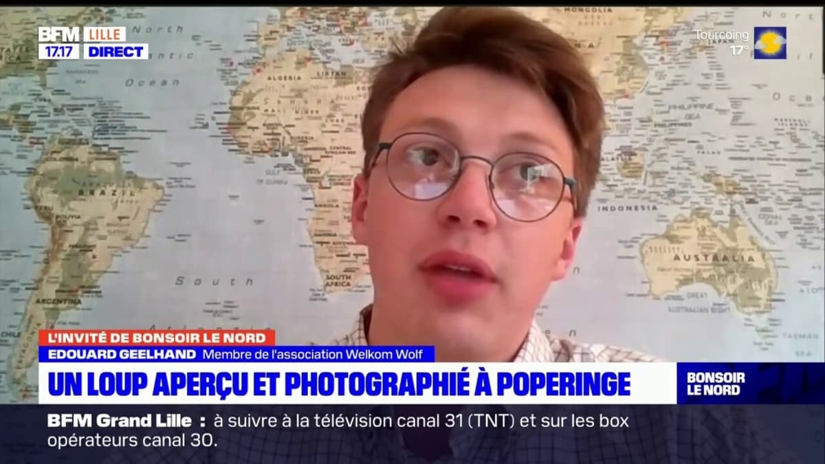 placeholder video