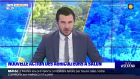 Salon-de-Provence: des agriculteurs organisent un "marché informel" pour vanter l'achat de produits locaux