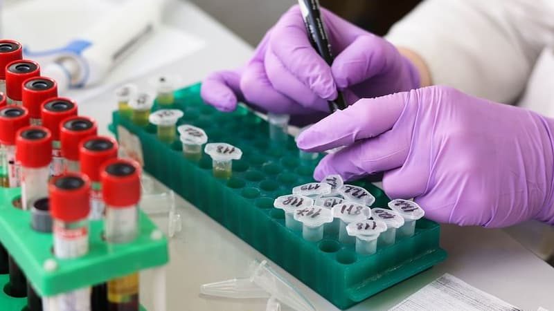 Un très large fichier de données médicales circule sur Internet.