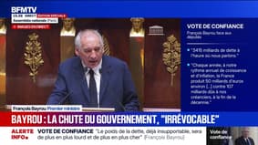 "La chute irrévocable de ce gouvernement est annoncée depuis la première minute de son existence", assure François Bayrou