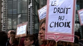 Manifestation pro-IVG à Paris, le 19 janvier dernier.