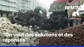 Crise agricole: retour sur cette journée de mobilisation