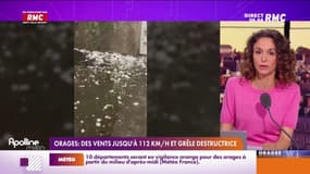 Orages : en Gironde, un vigneron perd la moitié de sa récolte