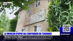 Alpes-Maritimes: le moulin d'Opio est sauvé, la vente d'huile d'olive devrait reprendre en 2025