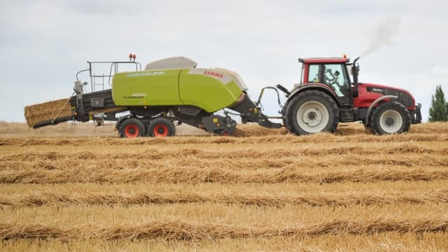 La production de blé tendre est estimée à 29,7 millions de tonnes en chute libre en un an (-24,9% par rapport à 2019 et -15,9% par rapport à la moyenne 2015-2019).