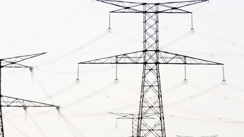 Le gouvernement, comme la loi l'y autorise, n'appliquera pas ces hausses tarifaires estimées à 85 euros par an pour un foyer qui se chauffe à l'électricité.