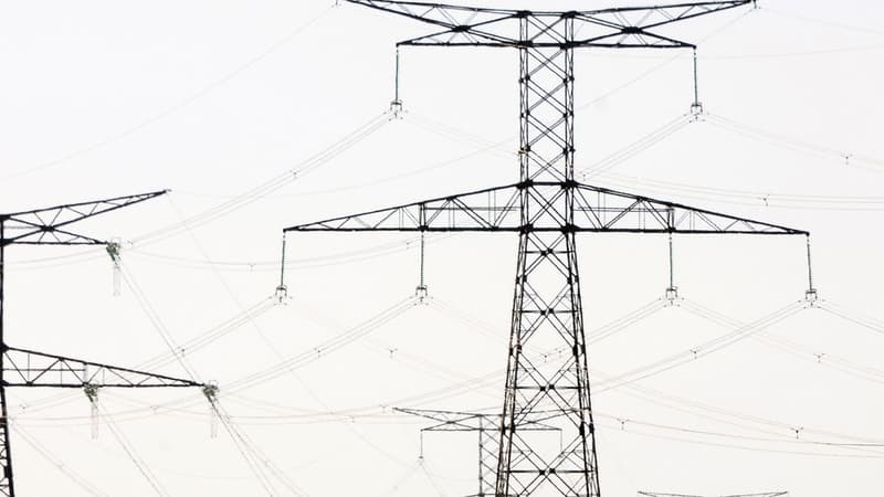 Le gouvernement, comme la loi l'y autorise, n'appliquera pas ces hausses tarifaires estimées à 85 euros par an pour un foyer qui se chauffe à l'électricité.