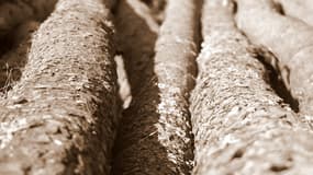 Un adolescent trouve par hasard 1,7 kg d'héroïne sous un tronc - Vendredi 8 avril 2016