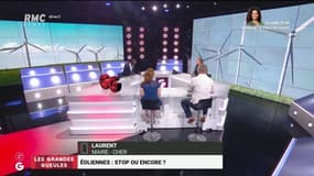 Comment Laurent a été élu maire d'un petit village en se battant contre les éoliennes