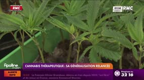 Cannabis thérapeutique: sa généralisation relancée 