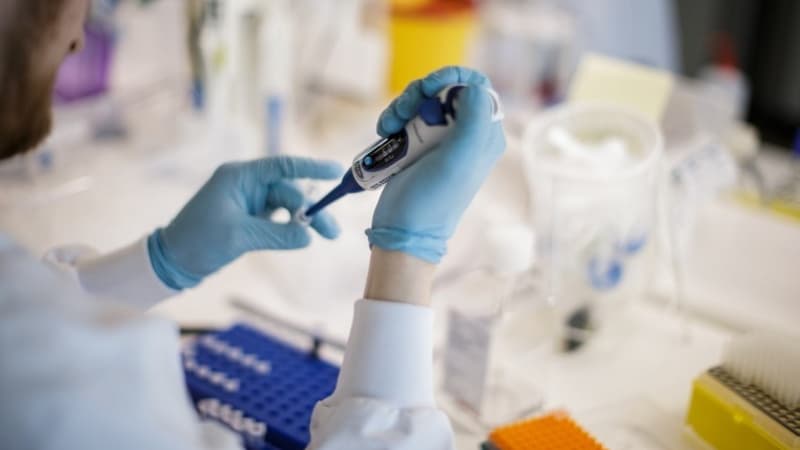 Un chercheur travaille sur un vaccin contre le Covid-19, au Danemark
